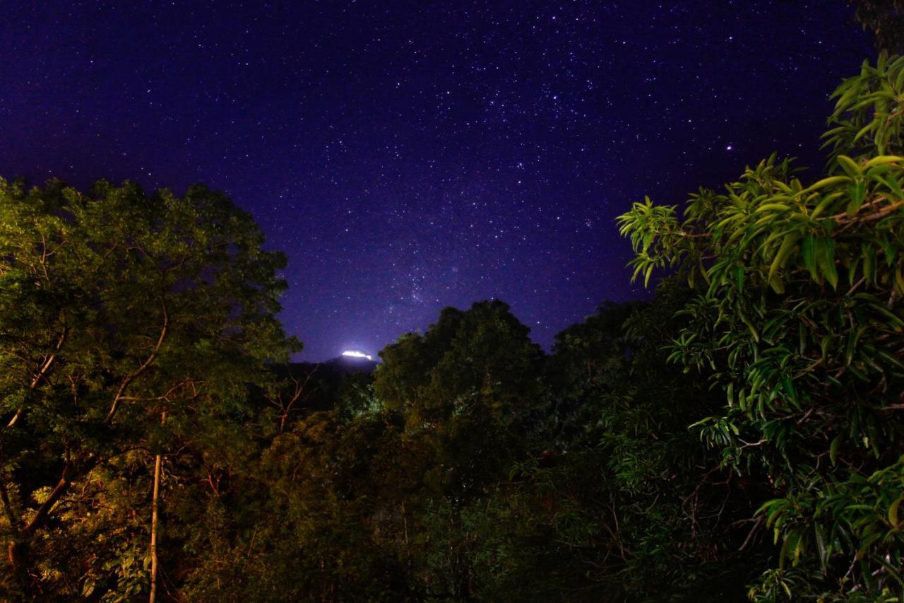 Grand Detagamuwa Hotel Kataragama Buitenkant foto